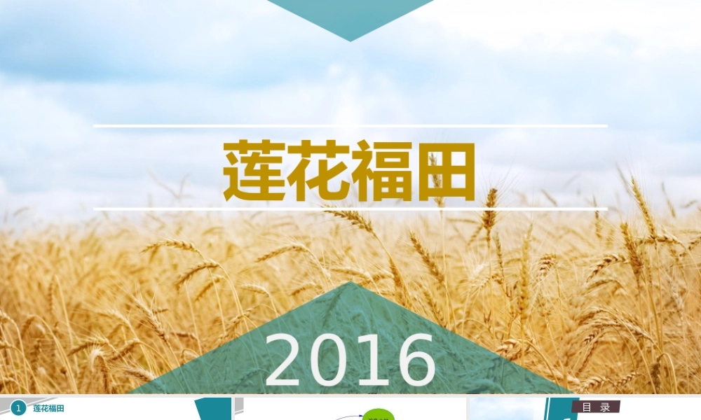 莲花福田(完整新改版).pptx