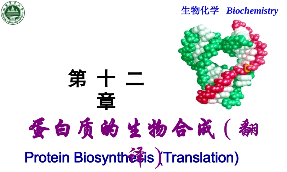 Chapter 12 翻译.ppt