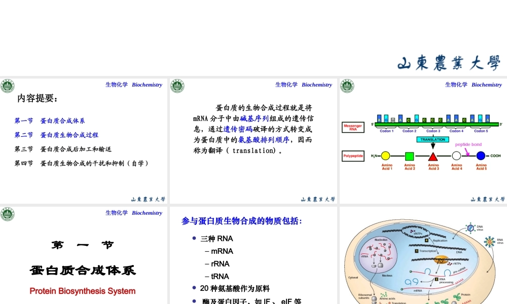 Chapter 12 翻译.ppt