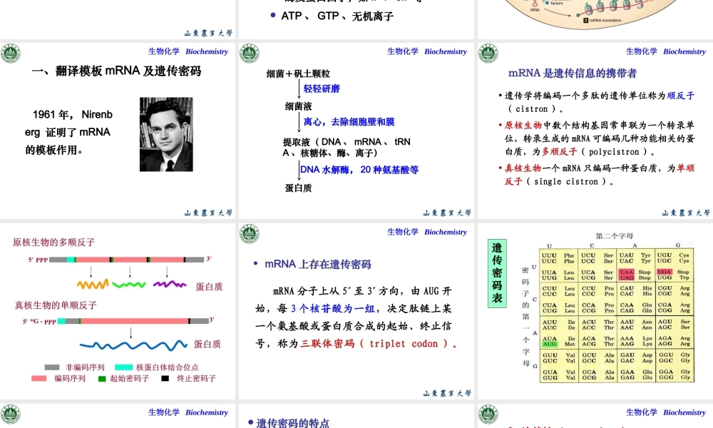 Chapter 12 翻译.ppt