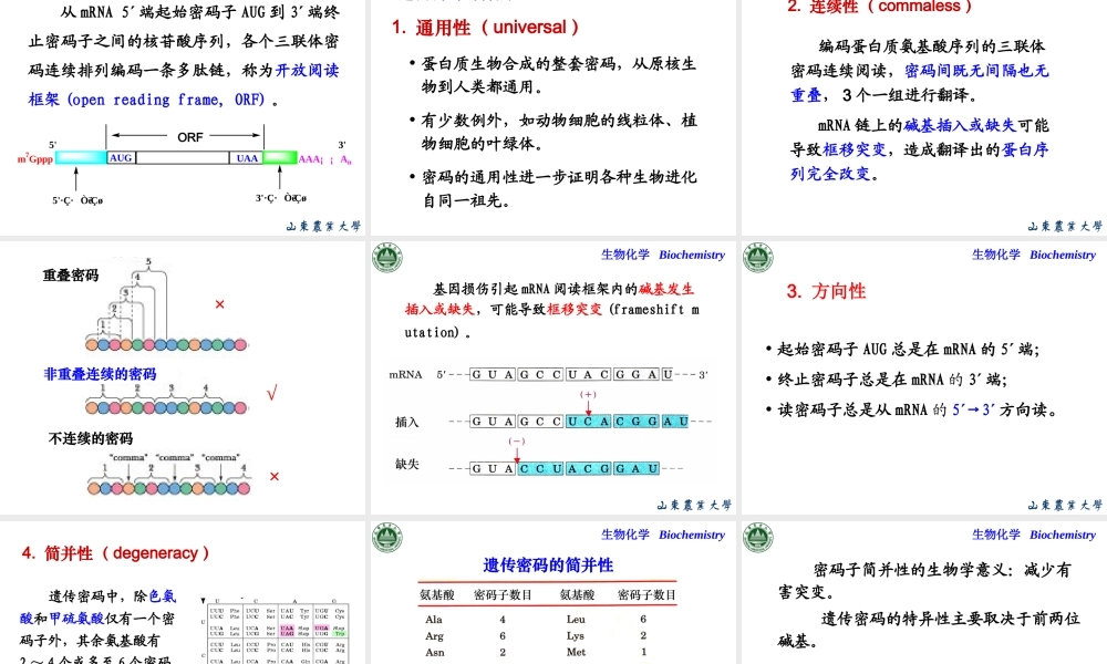 Chapter 12 翻译.ppt