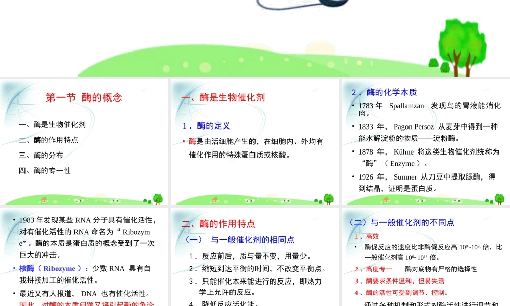 第三章 酶1.ppt