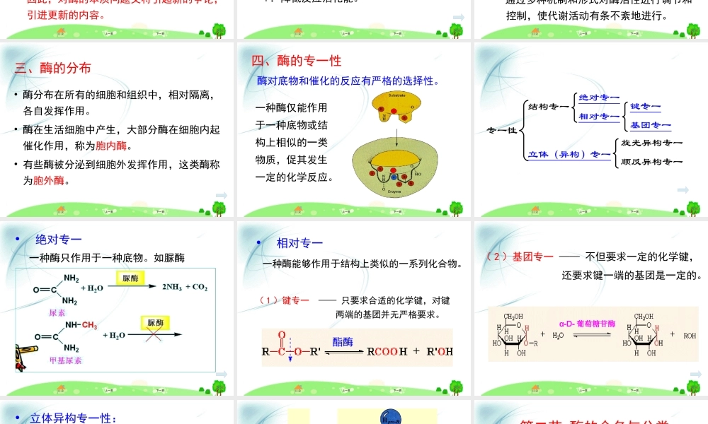 第三章 酶1.ppt