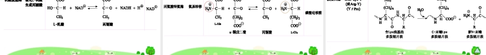 第三章 酶1.ppt