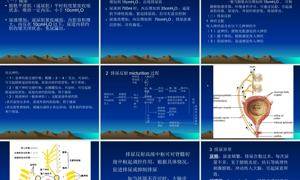 泌尿系统(1)(1).ppt