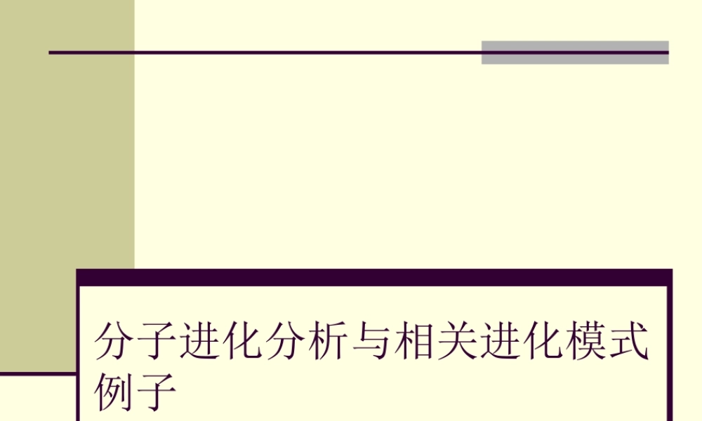 第13章分子进化分析与进化模式(1).ppt