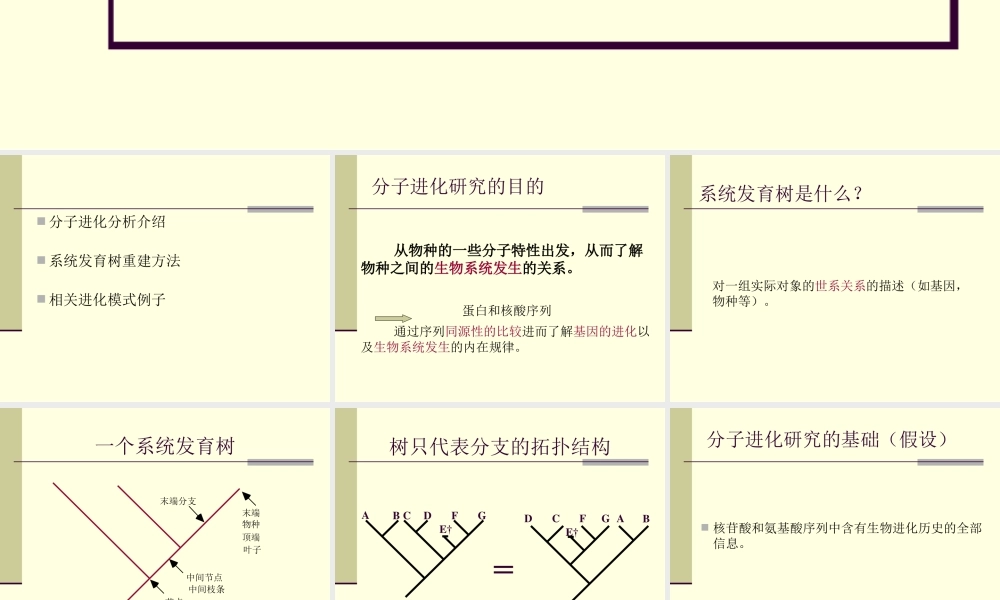 第13章分子进化分析与进化模式(1).ppt