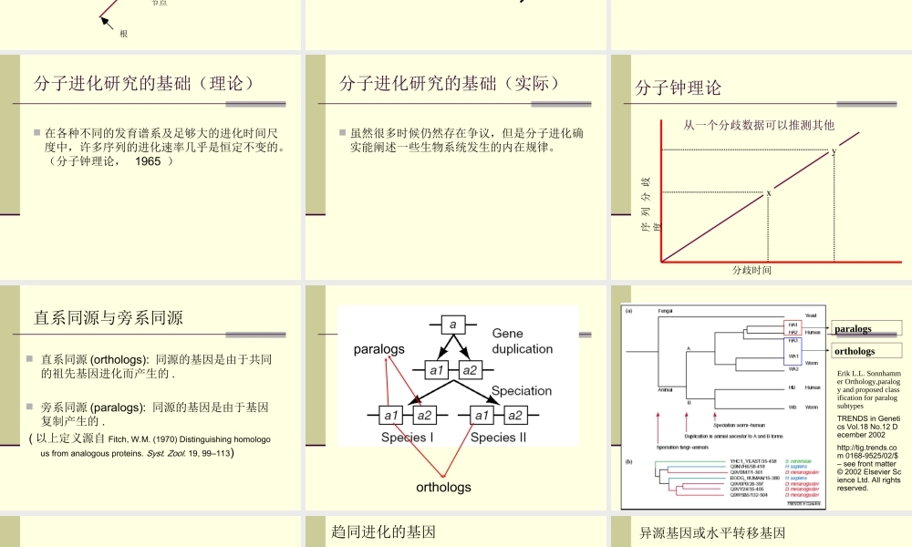 第13章分子进化分析与进化模式(1).ppt
