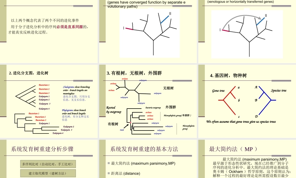 第13章分子进化分析与进化模式(1).ppt
