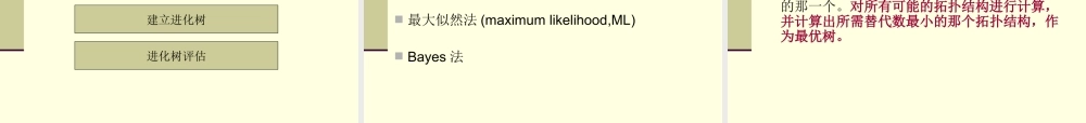 第13章分子进化分析与进化模式(1).ppt