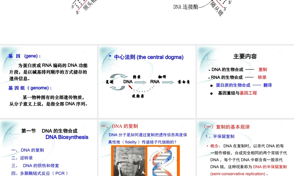 第十章核酸的生物合成 (2).ppt