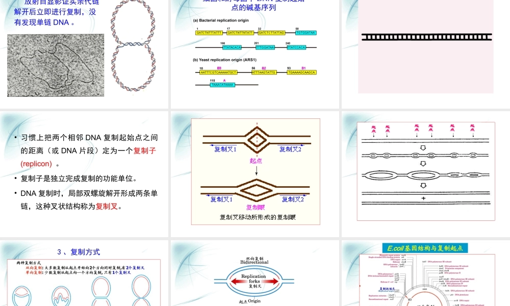 第十章核酸的生物合成 (2).ppt
