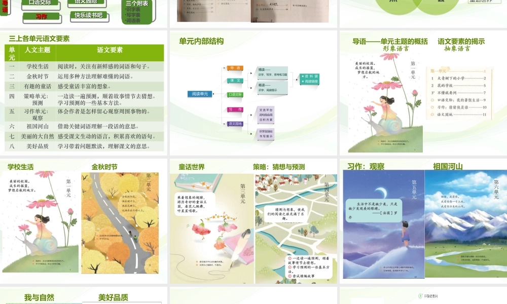 部编版三年级语文上册教材解读及教学建议.ppt