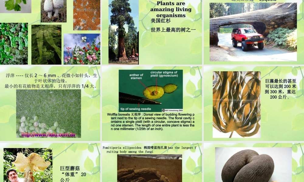 zzr2q0-序论.ppt