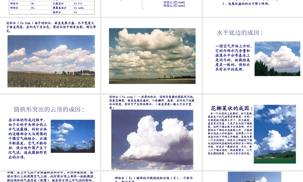 教科小学科学四上《1.6、云的观测》PPT课件(12)【加微信公众号 jiaoxuewuyou 九折优惠 qq 1119139686】.ppt