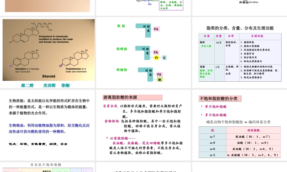 07第七章脂代谢.ppt