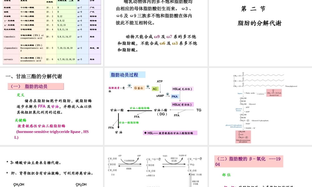 07第七章脂代谢.ppt