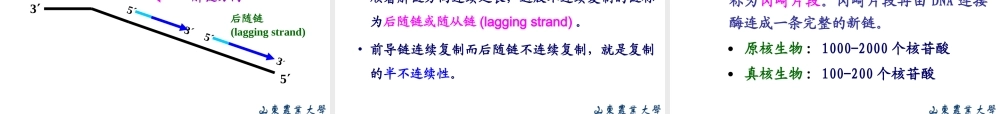 Chapter 10 复制.ppt