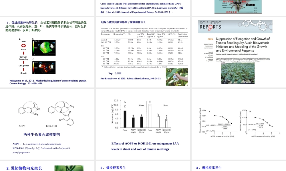 第七章(1).ppt