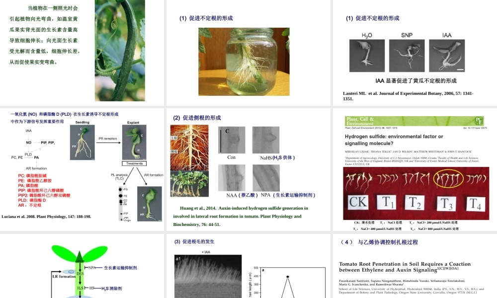 第七章(1).ppt
