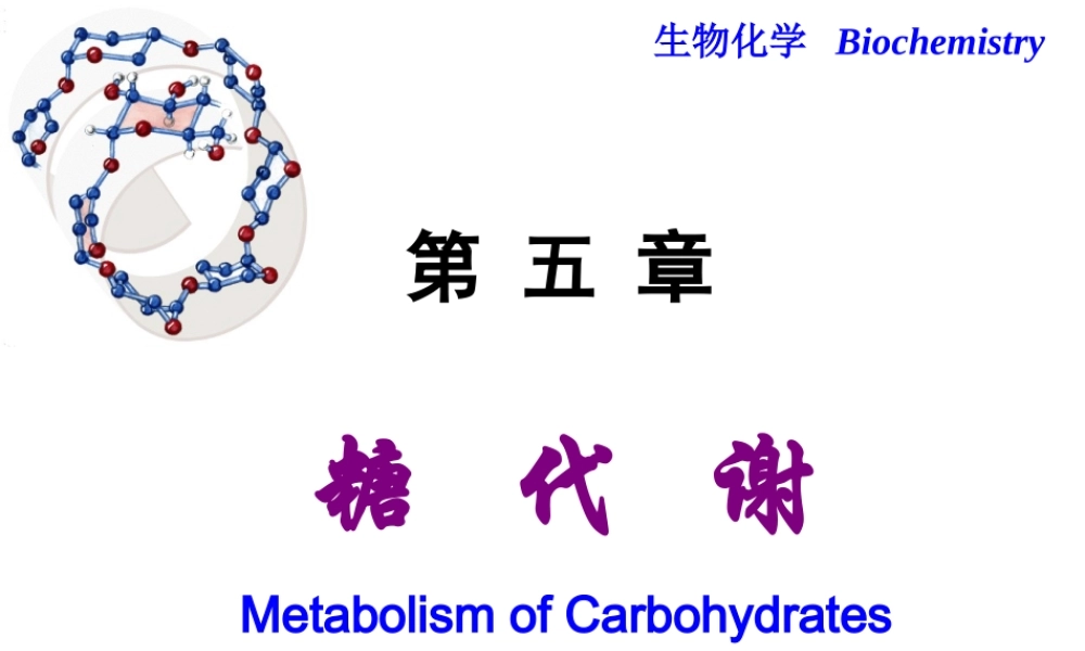 Chapter 5 糖代谢.ppt