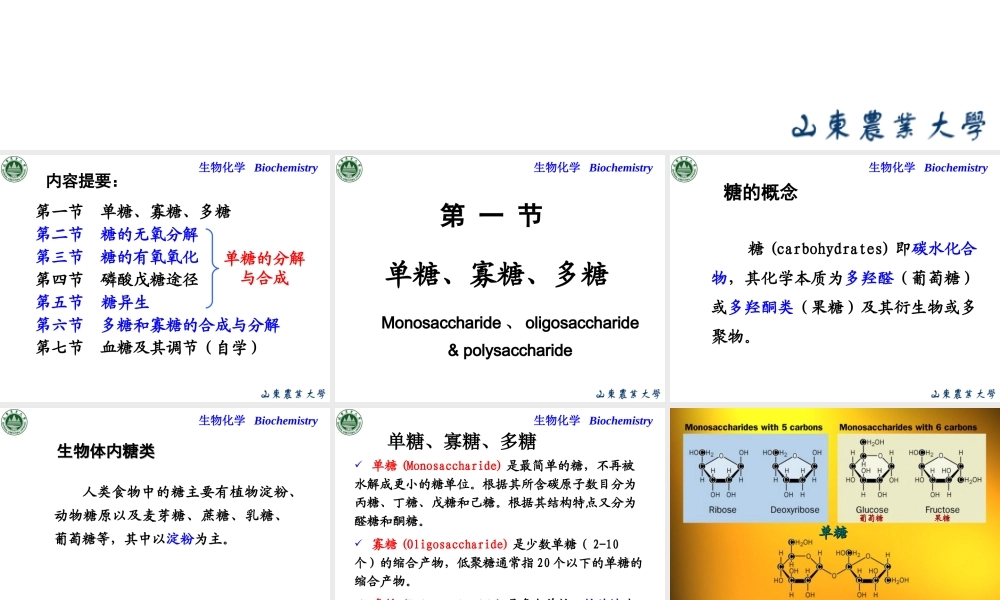 Chapter 5 糖代谢.ppt