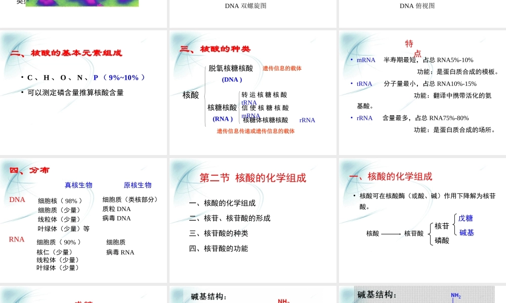 第一章核酸化学.ppt