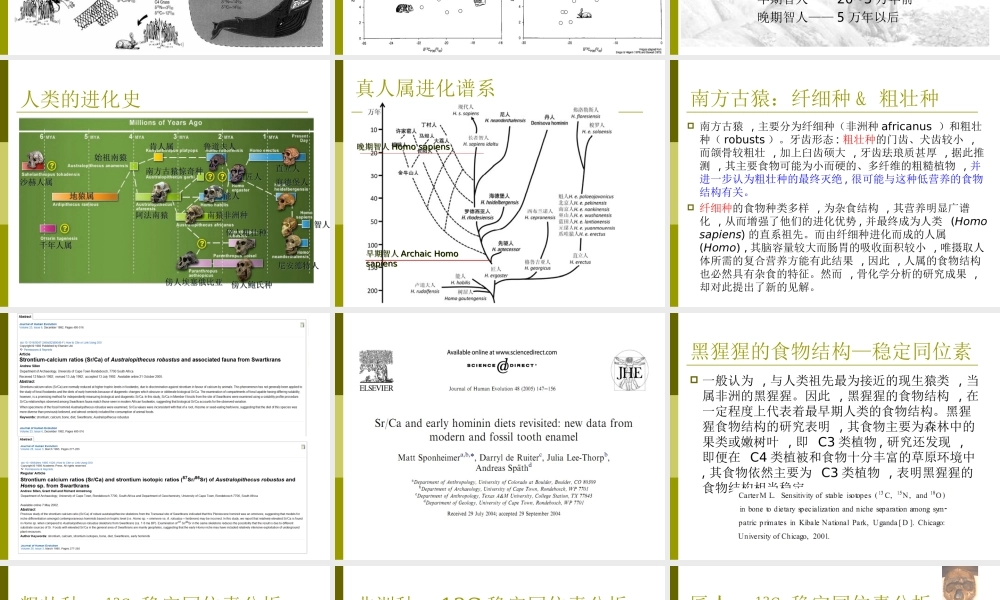 7. 古人类食物结构演化研究.ppt