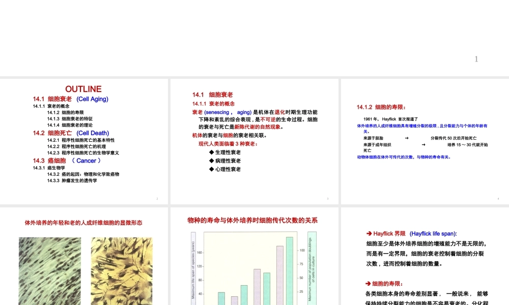ru-第14章 细胞衰老与死亡癌变20161220(1).ppt