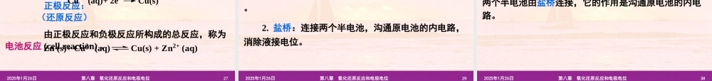第八章氧化还原反应和电极电位.ppt