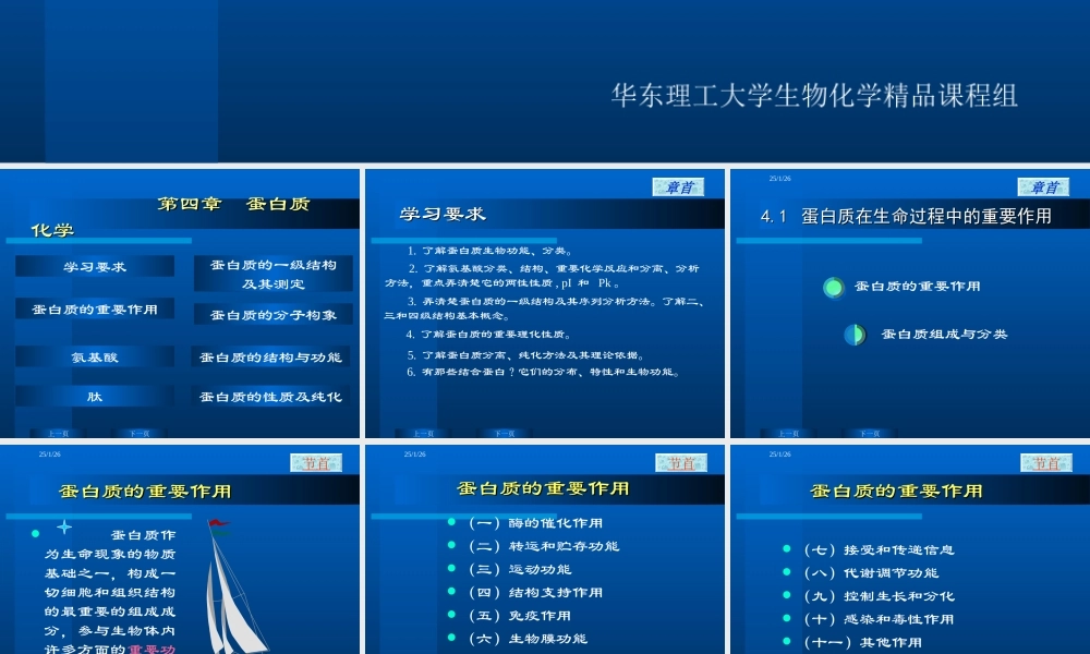 华东理工生物化学chap04.ppt