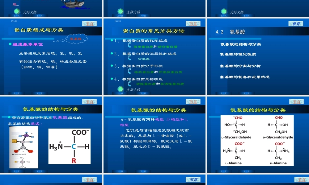 华东理工生物化学chap04.ppt