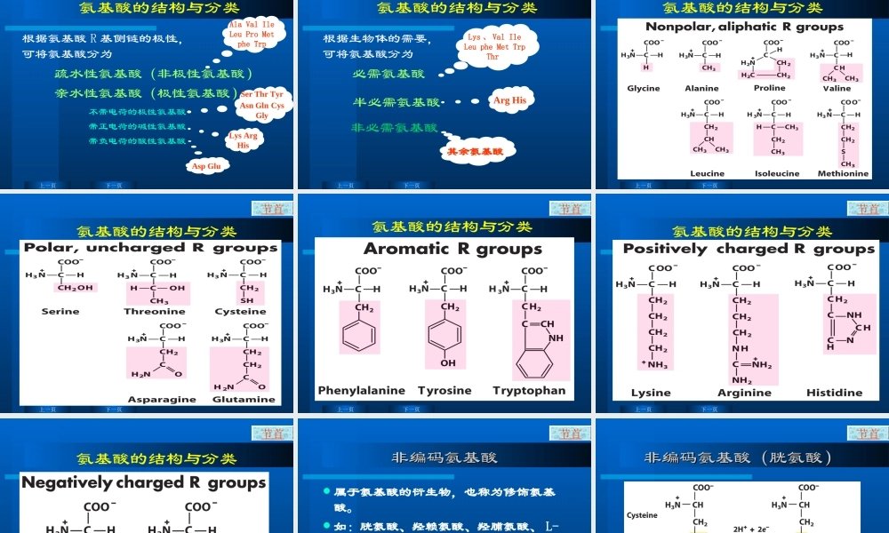 华东理工生物化学chap04.ppt