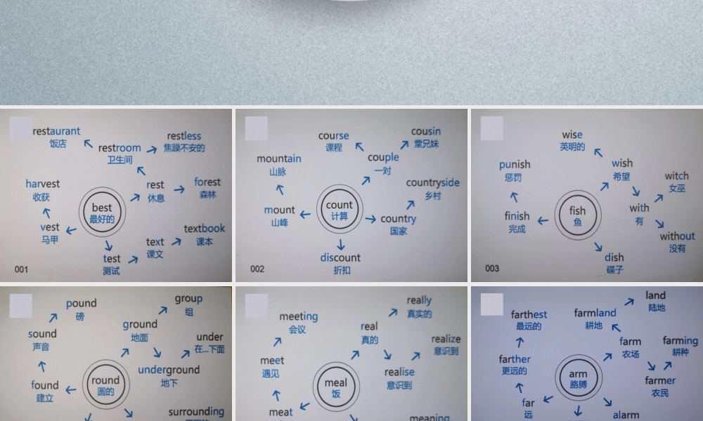 思维导图速记初中1600词204图(白底).pptx