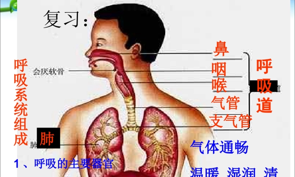 发生在肺内的气体交换(用).ppt