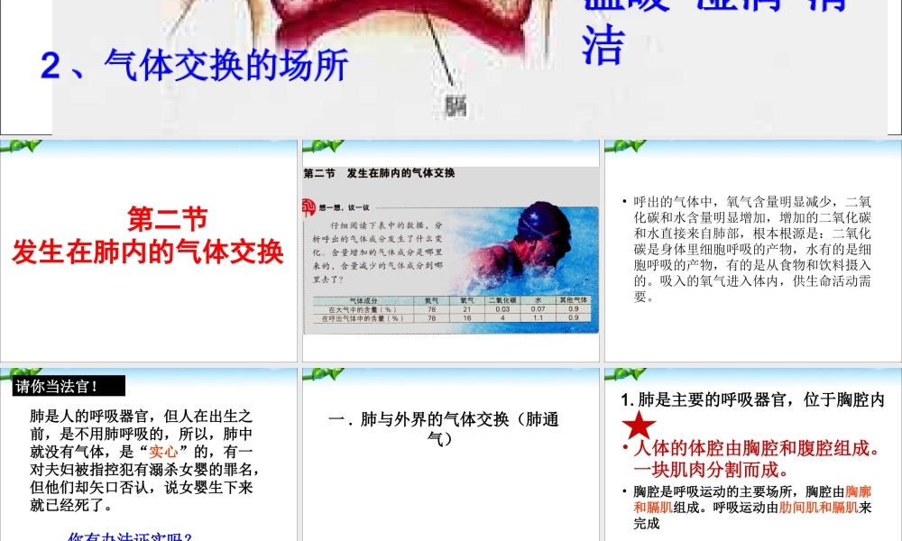 发生在肺内的气体交换(用).ppt