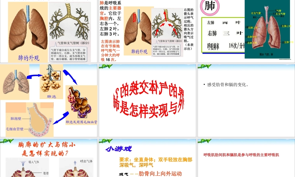 发生在肺内的气体交换(用).ppt