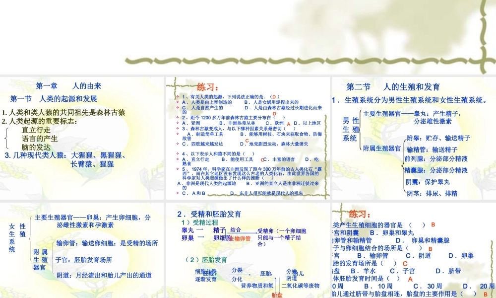 人教版七年级下册生物总复习课件.ppt