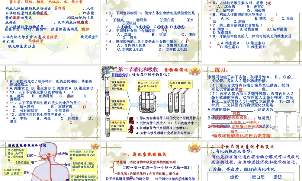 人教版七年级下册生物总复习课件.ppt
