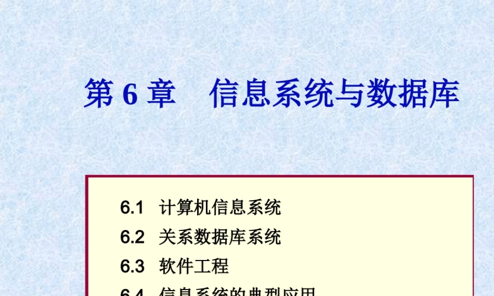 第六章 信息系统与数据库(1).ppt