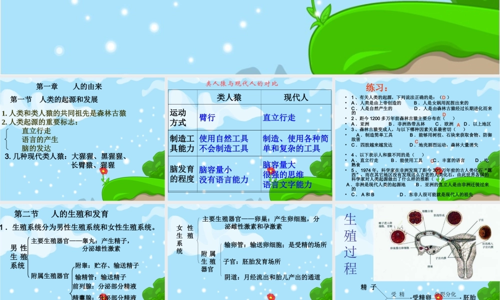 七年级下册生物总复习课件.ppt