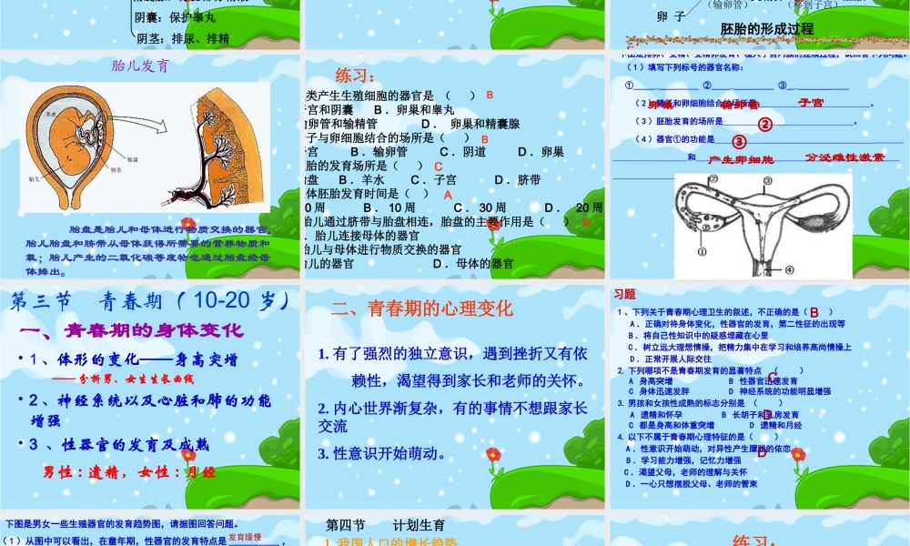 七年级下册生物总复习课件.ppt