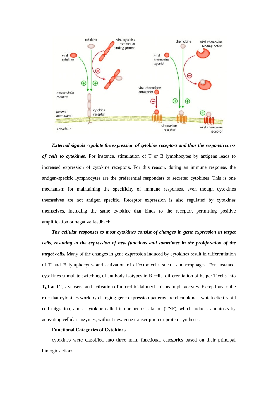 Cytokines.docx_第3页