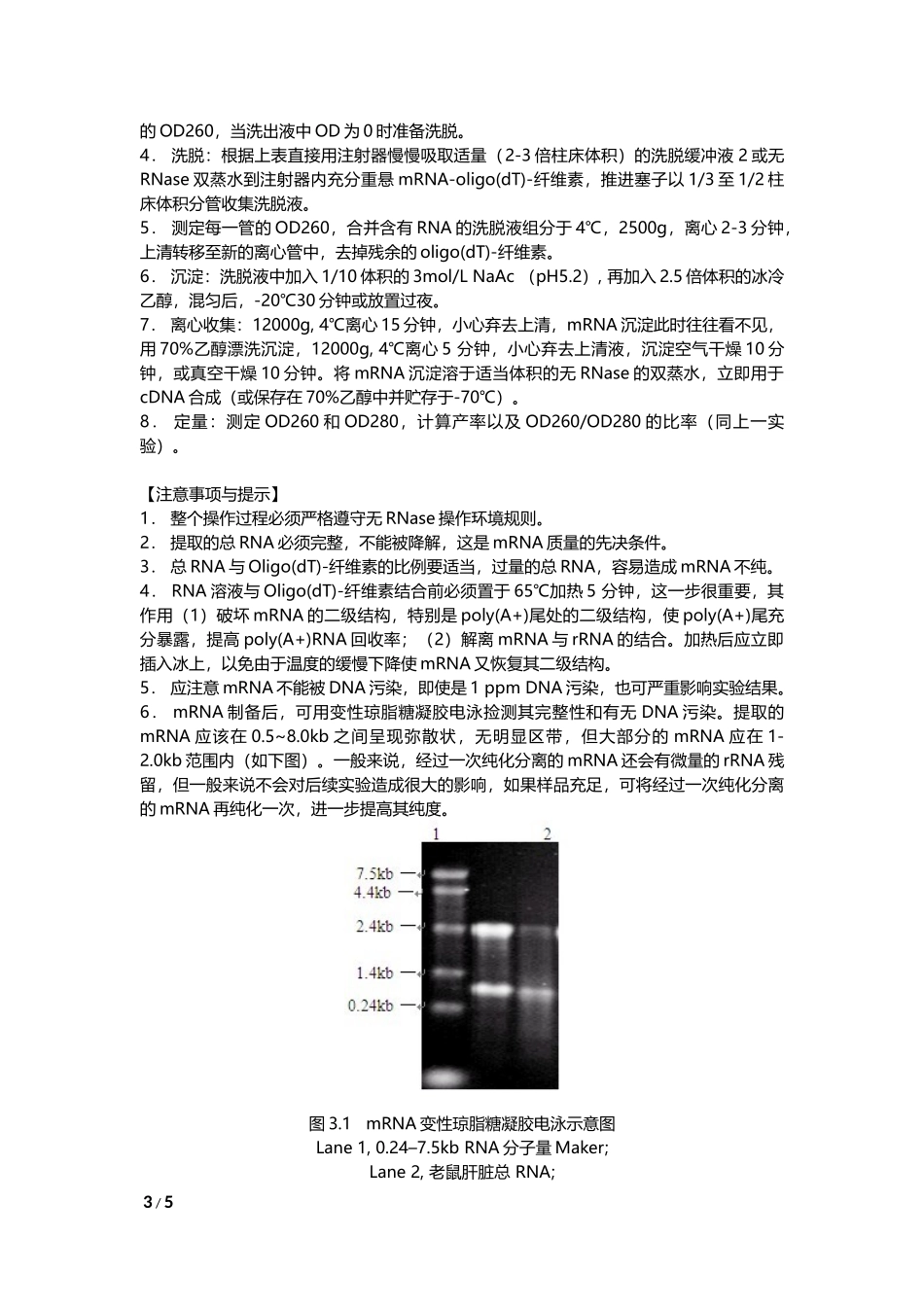 mRNA的分离纯化(1).docx_第3页