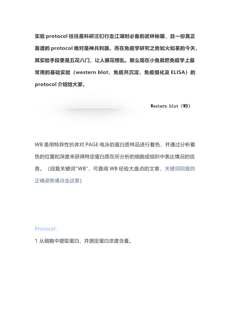 Protocol集中营你值得拥有！.docx_第1页
