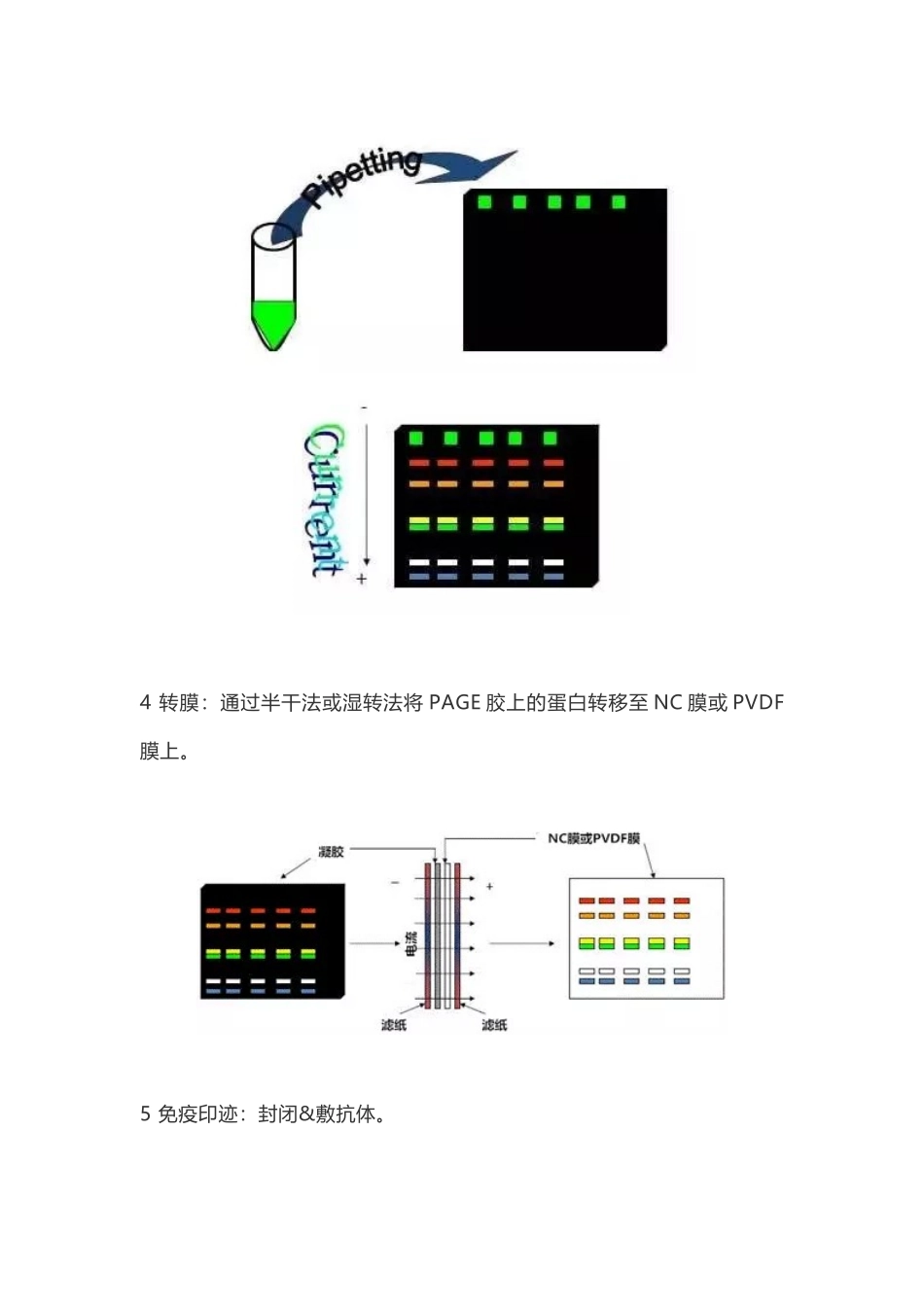 Protocol集中营你值得拥有！.docx_第3页