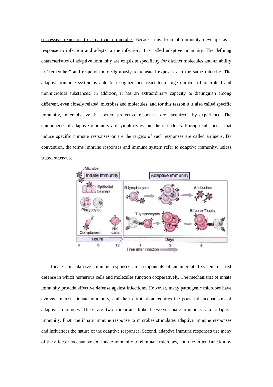 General Properties of Immune Responses.docx_第3页