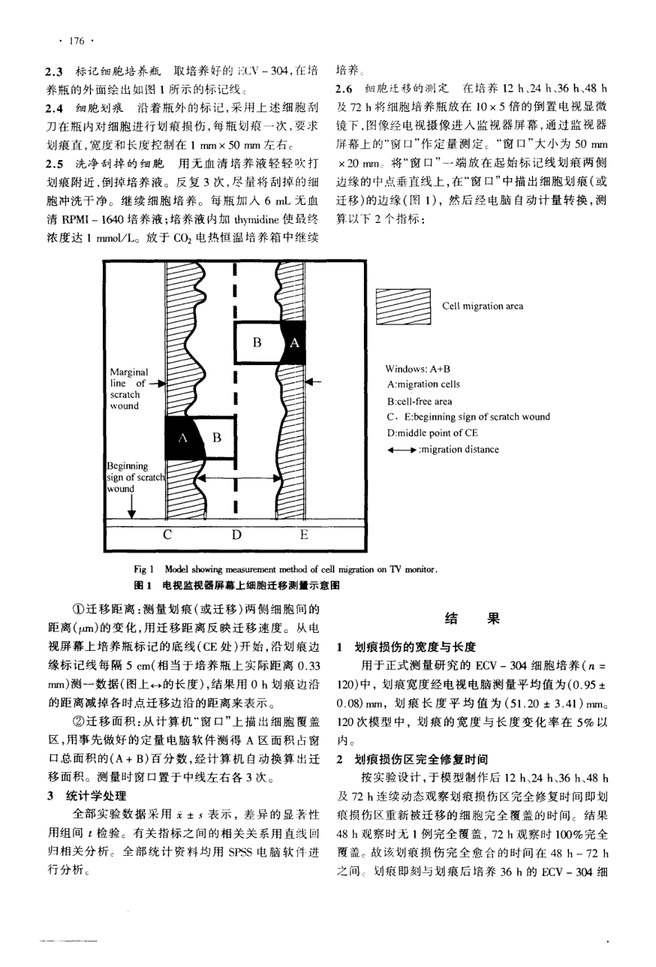 体外定量测定细胞迁移方法的建立及应用(1).pdf_第2页