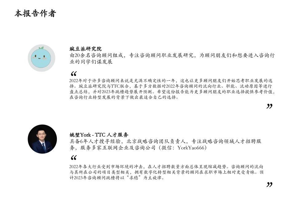 豌豆派：2022-2023咨询顾问发展报告-19页-WN6.pdf_第3页