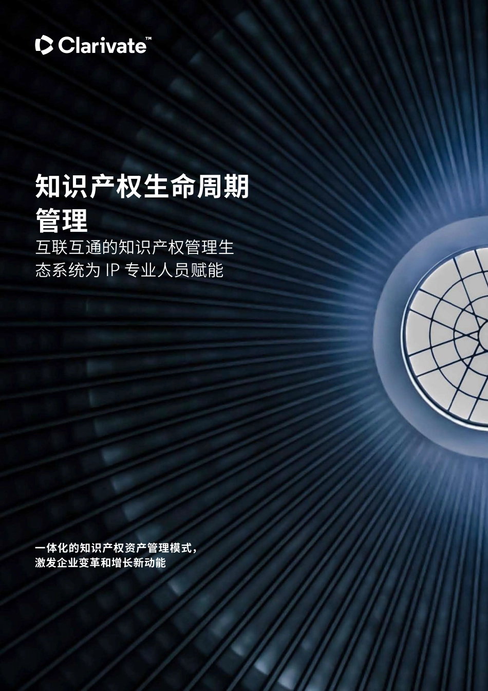 知识产权生命周期管理 互联互通的知识产权管理生态系统为IP专业人员赋能-2023.04-12页-WN5.pdf_第1页